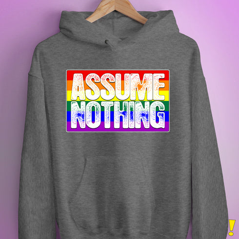 Assume Nothing LGBTQ Pride Flag Hoodie - Grey Heather
